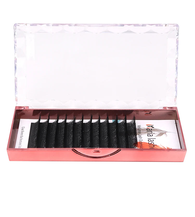Veylora Maria 5D W Lashes Easy Fan Eyelash Extensions Wholesales Y Premade Volume 12 Rows W Style Natural Soft Private Logo