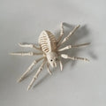 Veylora Halloween Decorations-Realistic Skeleton Props with Bats and Scorpions,Plastic Animal Bones for Haunted Houses,Bars,and Pranks