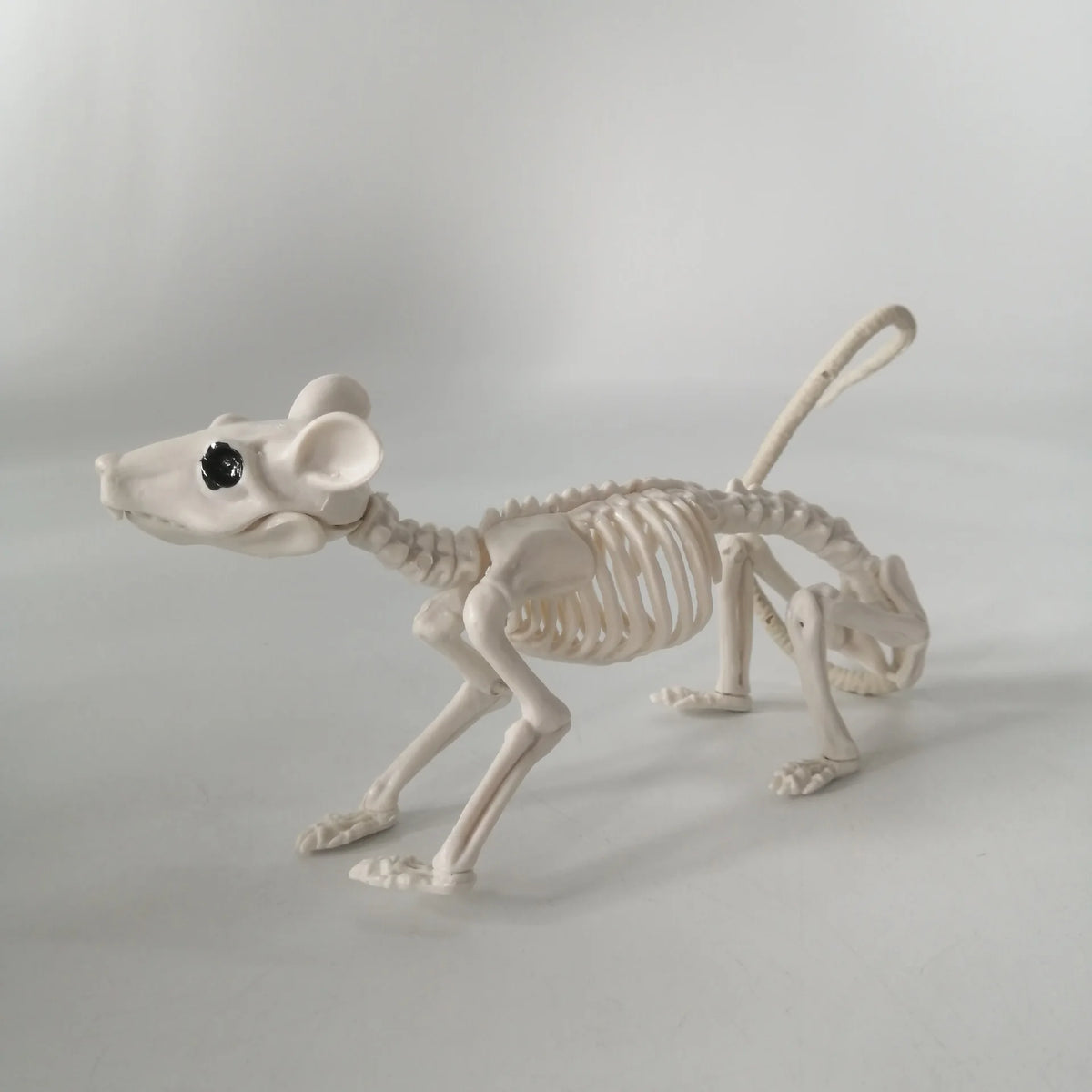 Veylora Halloween Decorations-Realistic Skeleton Props with Bats and Scorpions,Plastic Animal Bones for Haunted Houses,Bars,and Pranks