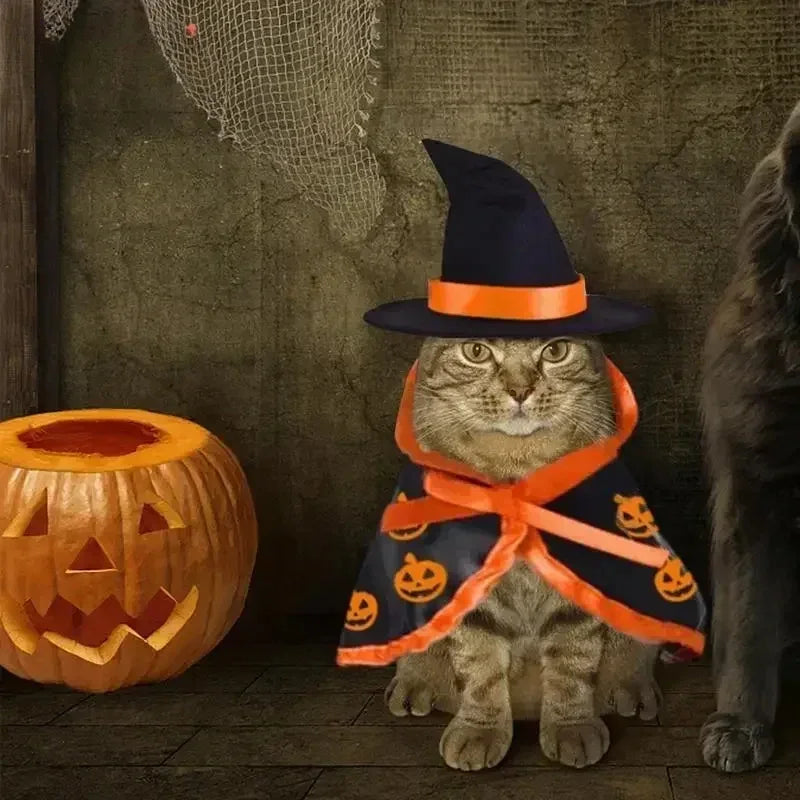 Veylora Halloween Pet Costume for Cats Breathable Soft Cute Pet Clothes Cloak Shape Pumpkin Pattern Harness Costume Cat Dog Cosplay Tool