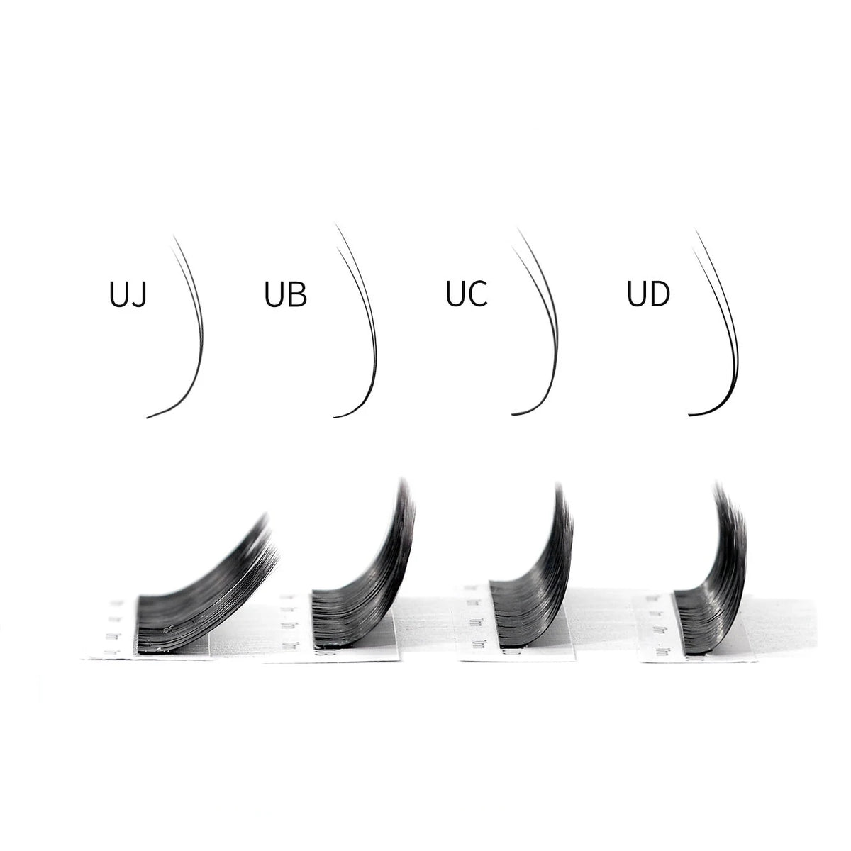 Veylora Maria 5D W Lashes Easy Fan Eyelash Extensions Wholesales Y Premade Volume 12 Rows W Style Natural Soft Private Logo