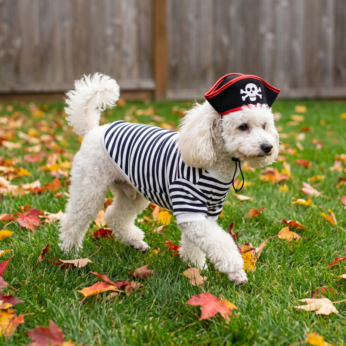Veylora Halloween Pirate Pet Costume Set with Skull Hat Black White Striped Dog Cat Shirt Sweatshirt Spooky Cosplay Party Apparel Outfit