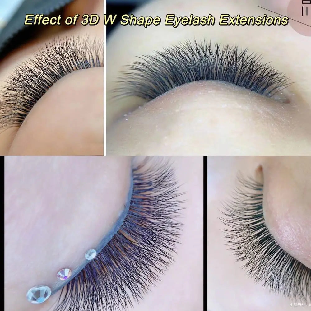 Veylora :NAGARAKU Automatic Flowering W Shape  Bloom 3D 4D 5D 6D Premade Fans Eyelash Extensions Natural Soft Light Full Dense