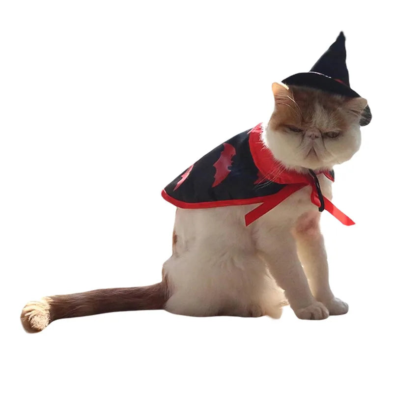 Veylora Halloween Pet Costume for Cats Breathable Soft Cute Pet Clothes Cloak Shape Pumpkin Pattern Harness Costume Cat Dog Cosplay Tool